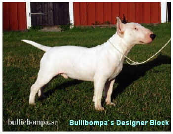 Bullibompa`s Designer Block